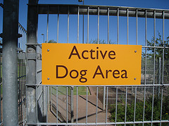 dog parks